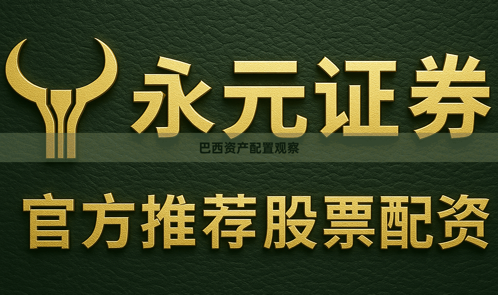 巴西资产配置观察