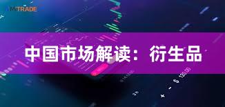 中国市场解读：衍生品