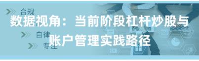 数据视角：当前阶段杠杆炒股与账户管理实践路径